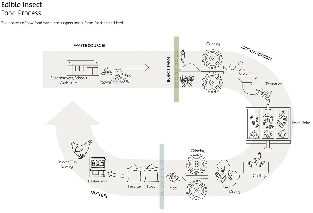 Proposed system for edible insects - Sita Patel Edible Systems 5.png
